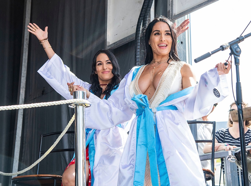 Nikki Bella, Brie Bella